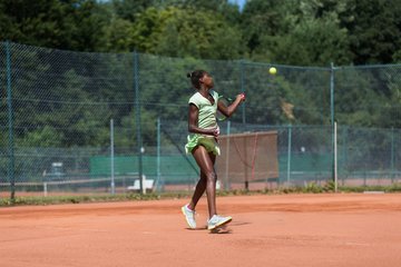 Noma Noha Akugue 319 - Amato Caffe Open